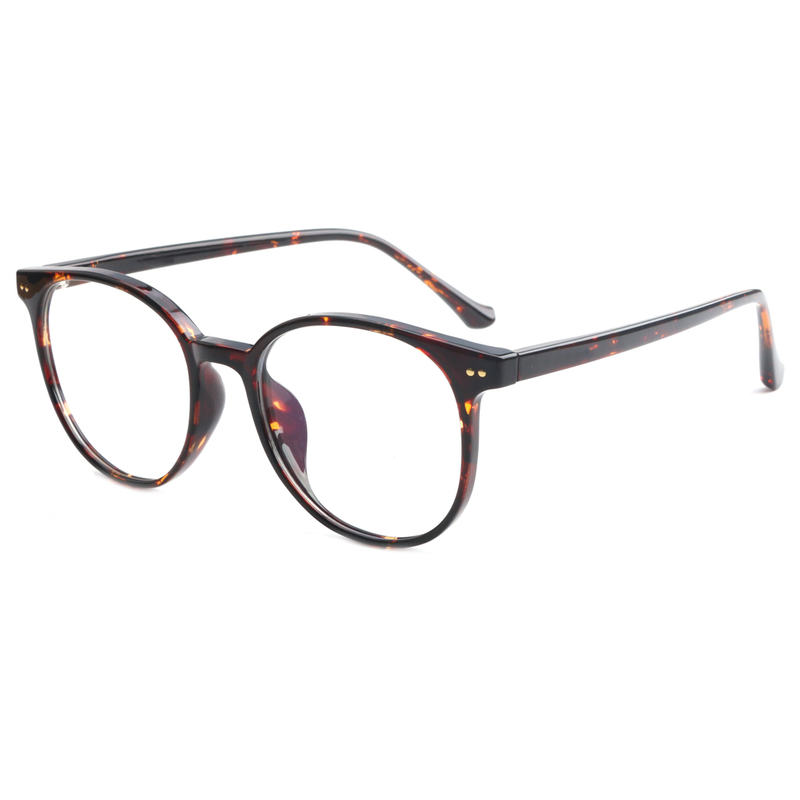 optical-95008